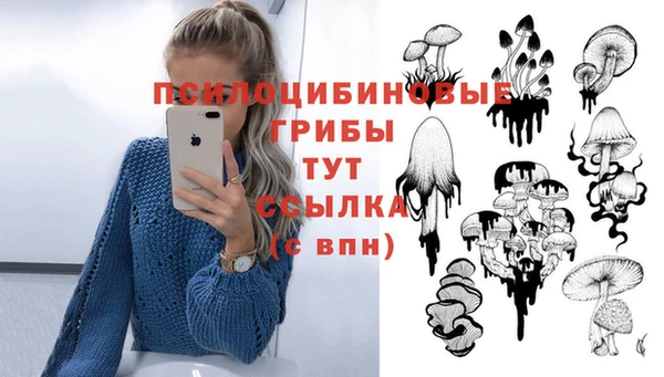 прущая мука Богородицк
